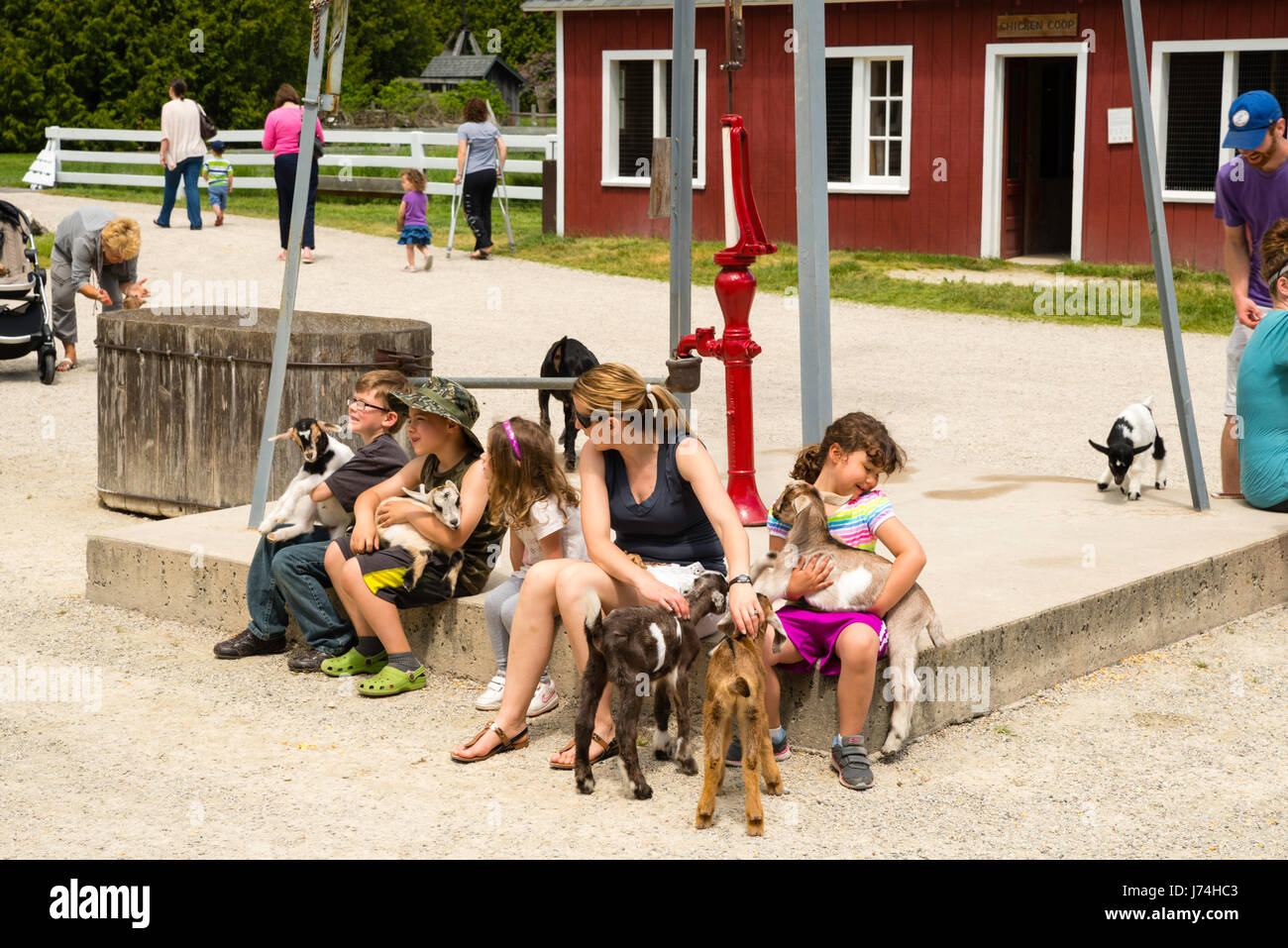 Children Hold Goat Kids At The Farm Door County Wisconsin