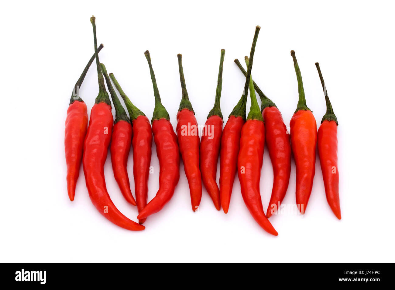 pepper isolated hot row vegetable chilli chili red line pepper vitamins