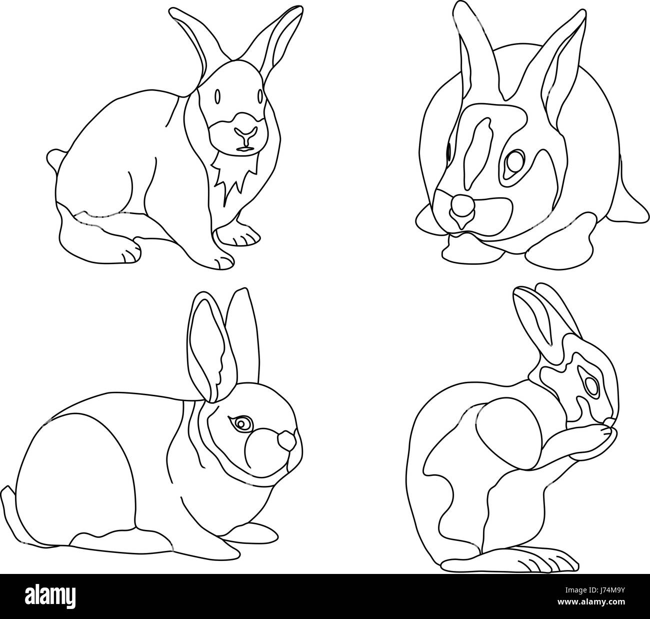 Colour rabbit illustration paint draw hi-res stock photography and images - Alamy Colour rabbit illustration paint draw hi-res stock photography and images - Alamy