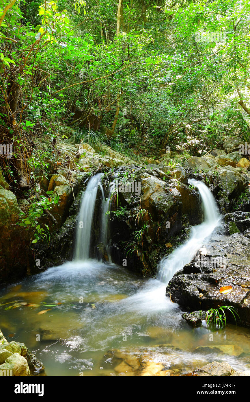 Nice stream flowing through forest hi-res stock photography and images ...