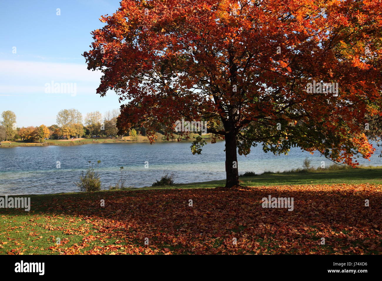 europe bavaria maple fresh water lake inland water water germany german federal Stock Photo