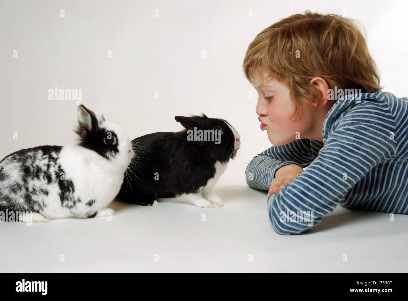 animal pet rabbit young younger rabbits blue laugh laughs laughing twit giggle Stock Photo