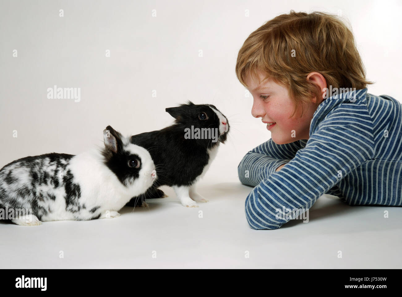 boy with rabbit Stock Photo