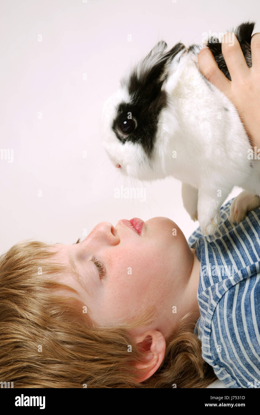 animal pet rabbit young younger rabbits blue laugh laughs laughing twit giggle Stock Photo