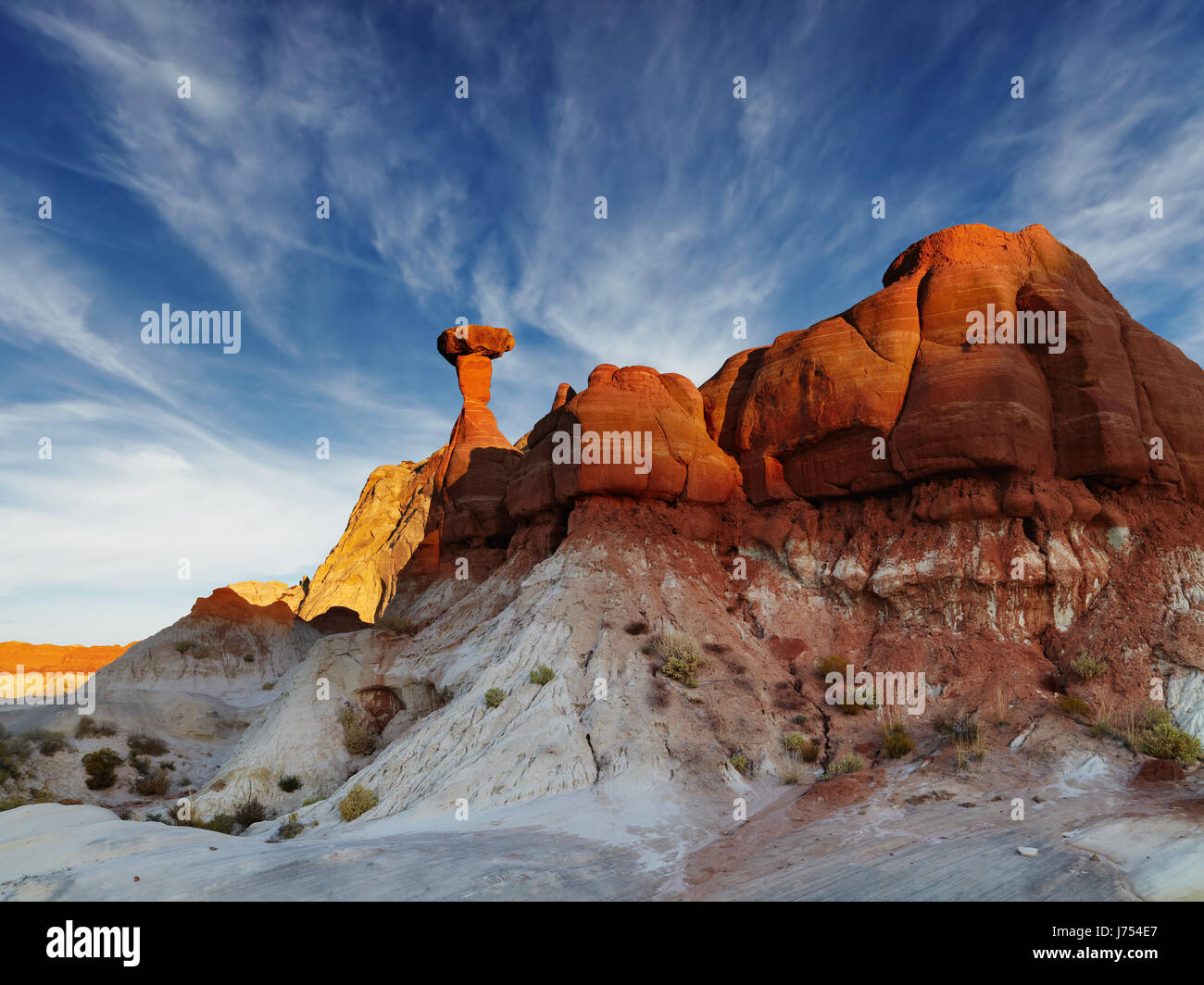 Toadstool Hoodoo amazing mushroom shaped rock in Utah desert, USA Stock Photo