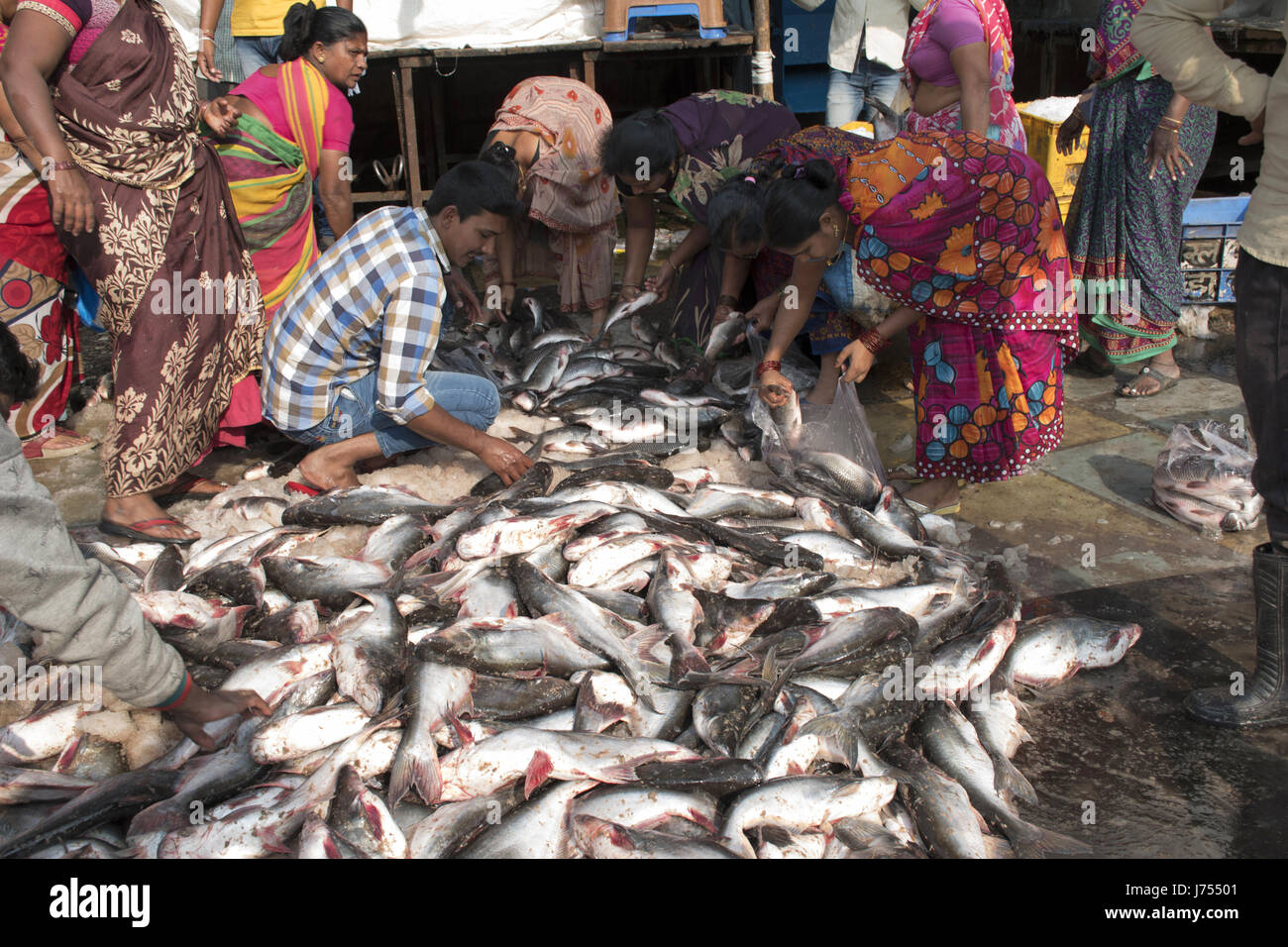 Fresh fish on sale in market, Pune, Maharashtra Stock Photo Alamy