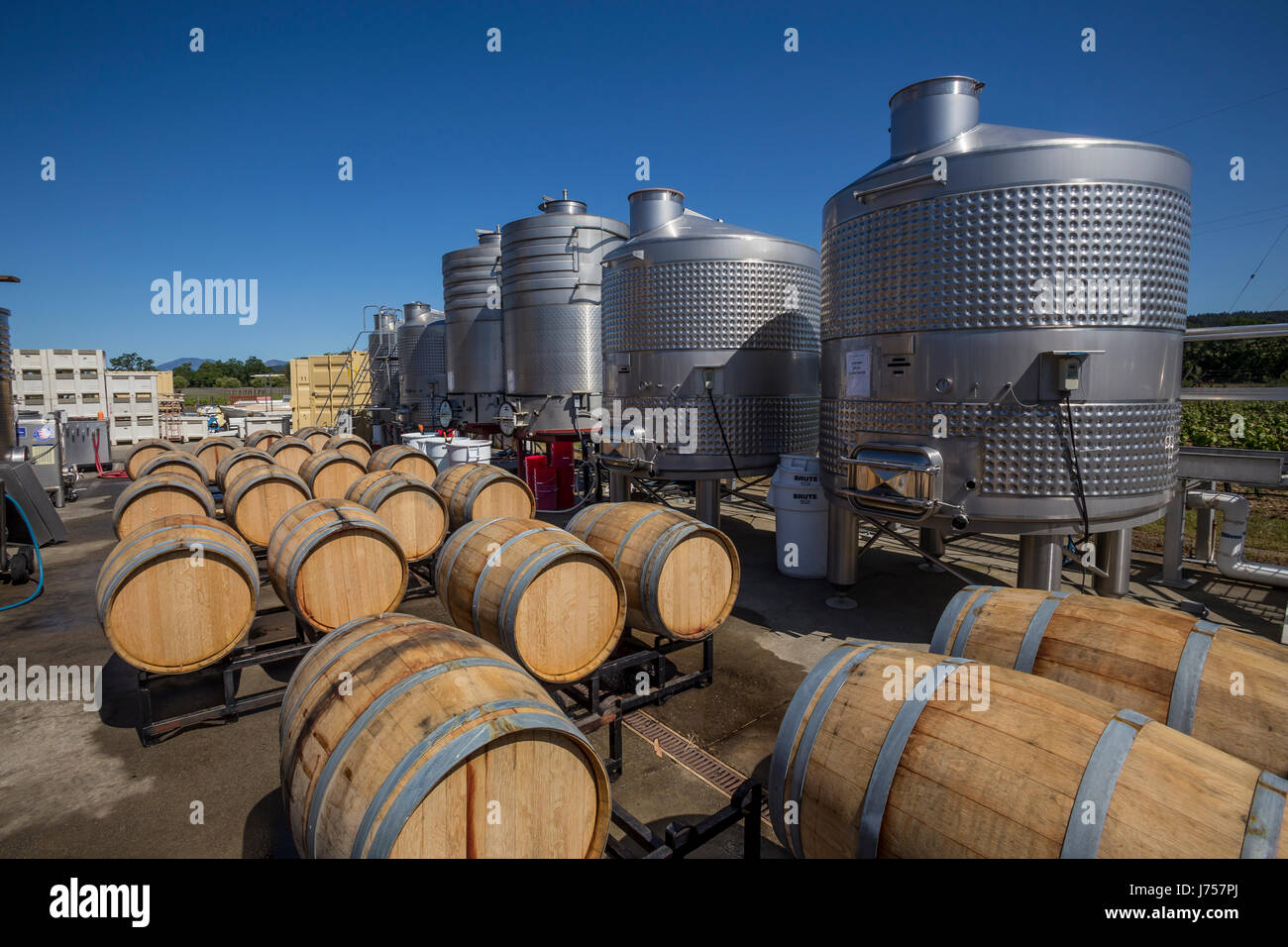 oak wine barrels, wine fermentation, fermentation area, Fleury Estate