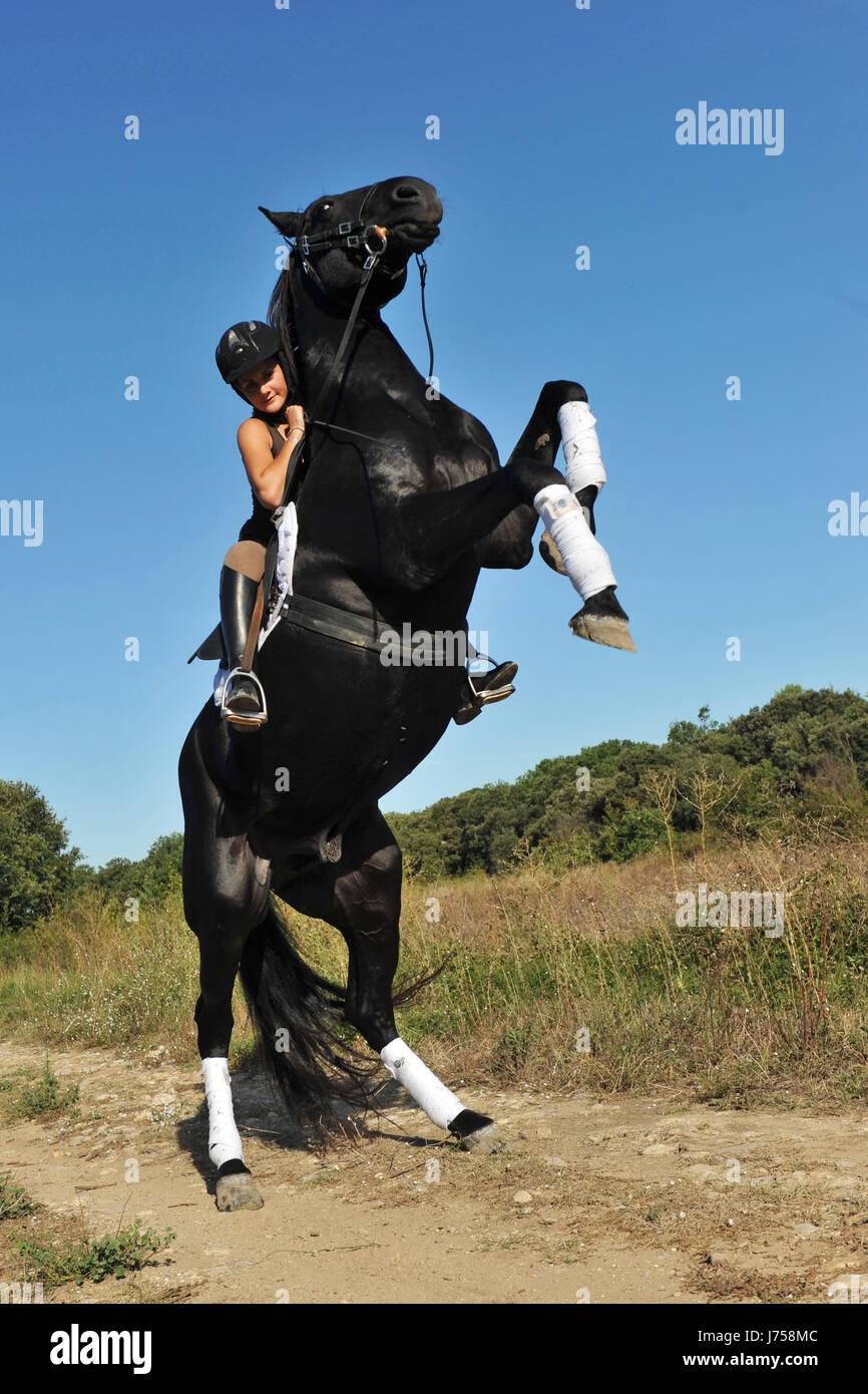 Woman horse rearing hi-res stock photography and images - Alamy