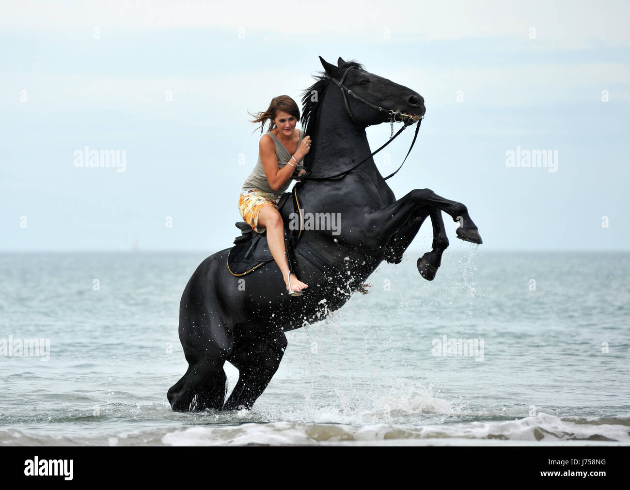 horse rearing salt water sea ocean water woman danger sport sports animal black Stock Photo