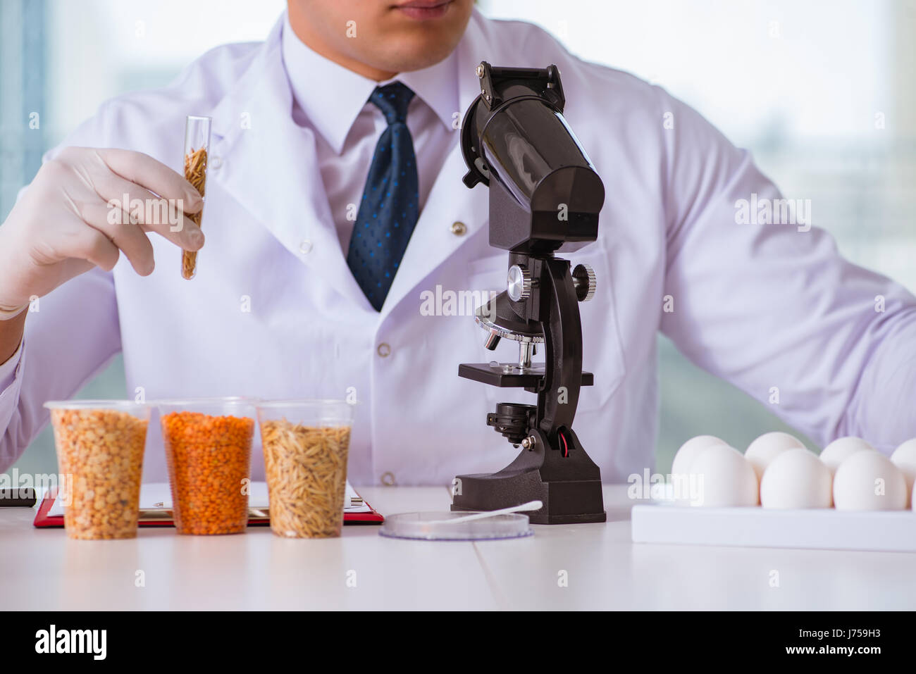 Nutrition expert testing food products in lab Stock Photo Alamy