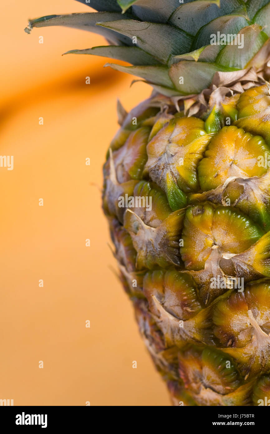 vitamine fruit tropical pineapple enzyme slim arid sligth lean gaunt