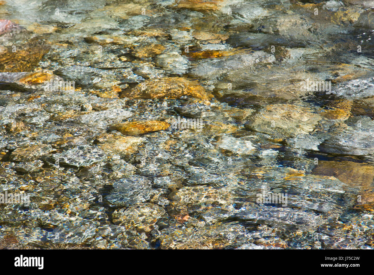 crystal clear water and colorful stones of wild river verzasca in switzerland Stock Photo