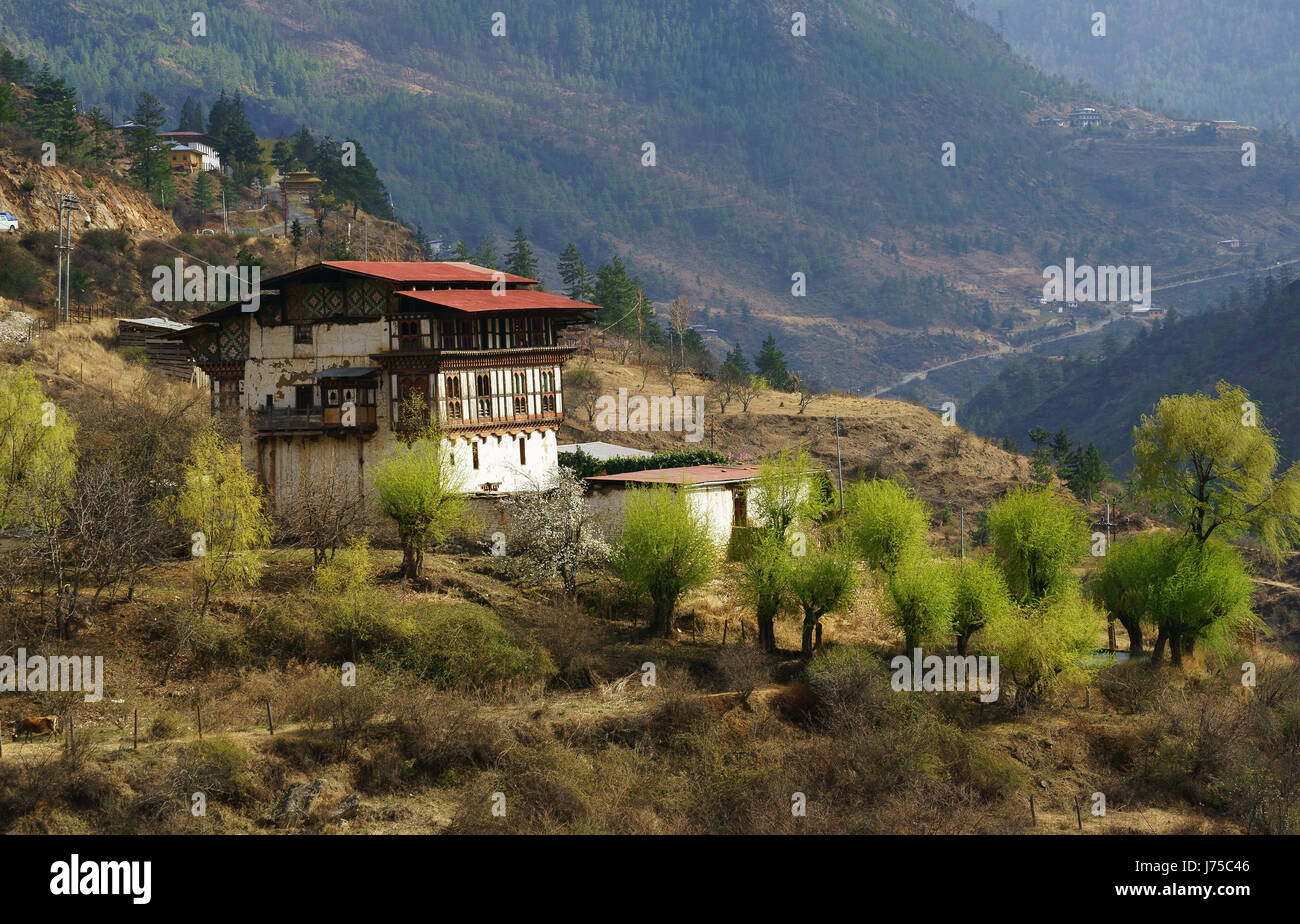 Farmhouse south of Thimphu, spring, Bhutan Stock Photo