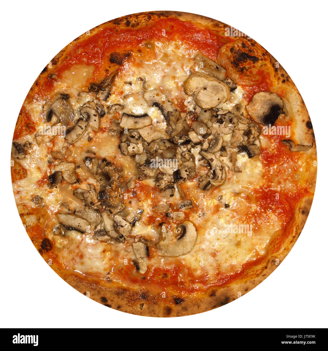 пицца грибная с помидорами фото 116