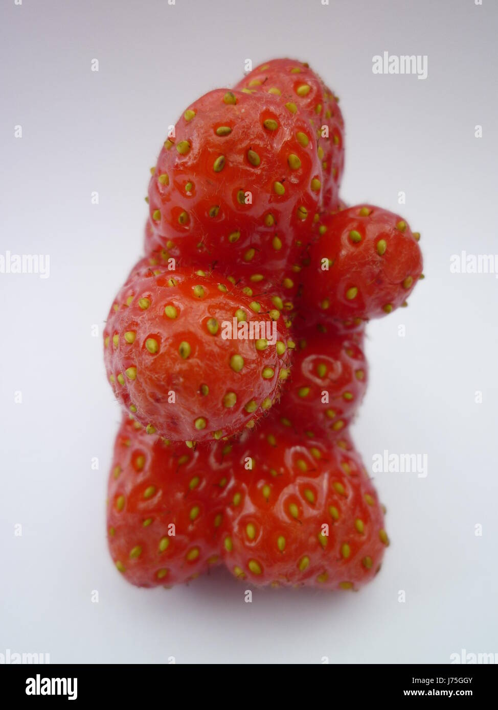 Erdbeerchen Ravelry: Baby