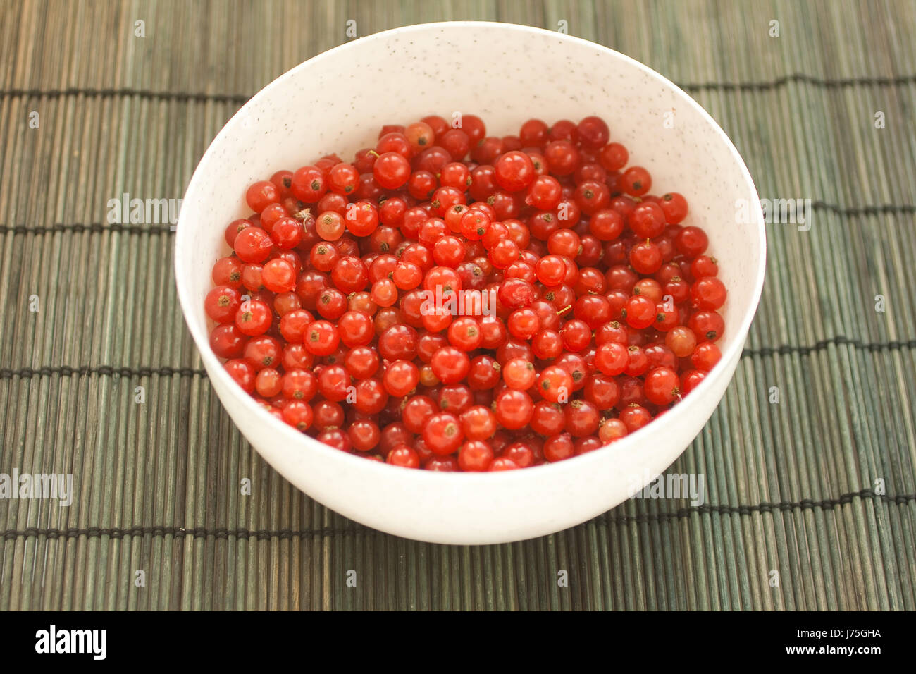 freshly plucked and washed currants Stock Photo