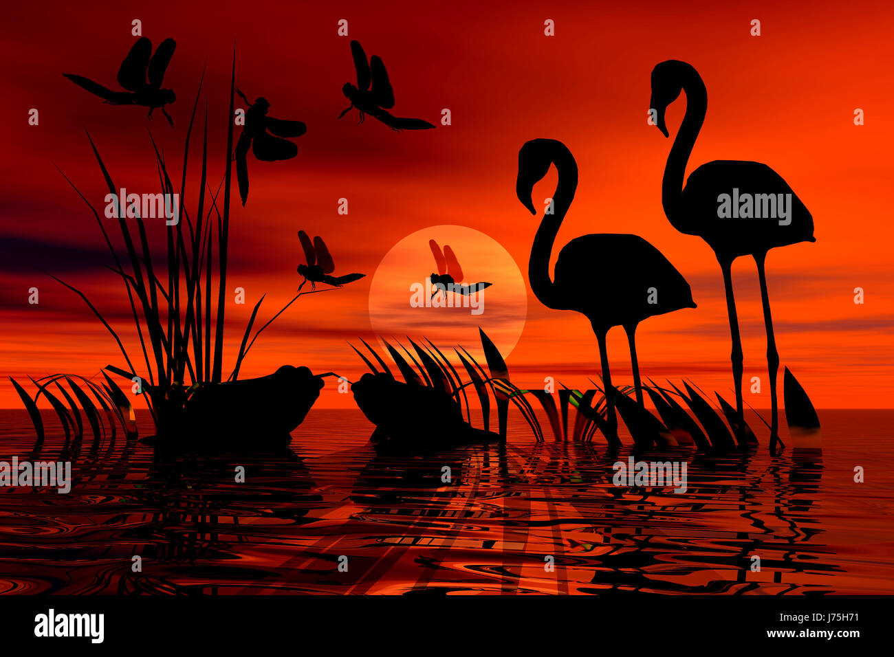 shearcut frogs flamingos flamingo symbolic graphic sunset dragonfly