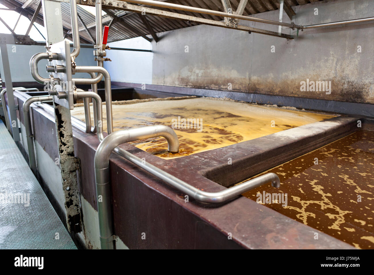 Rum distillery fermentation hires stock photography and images Alamy