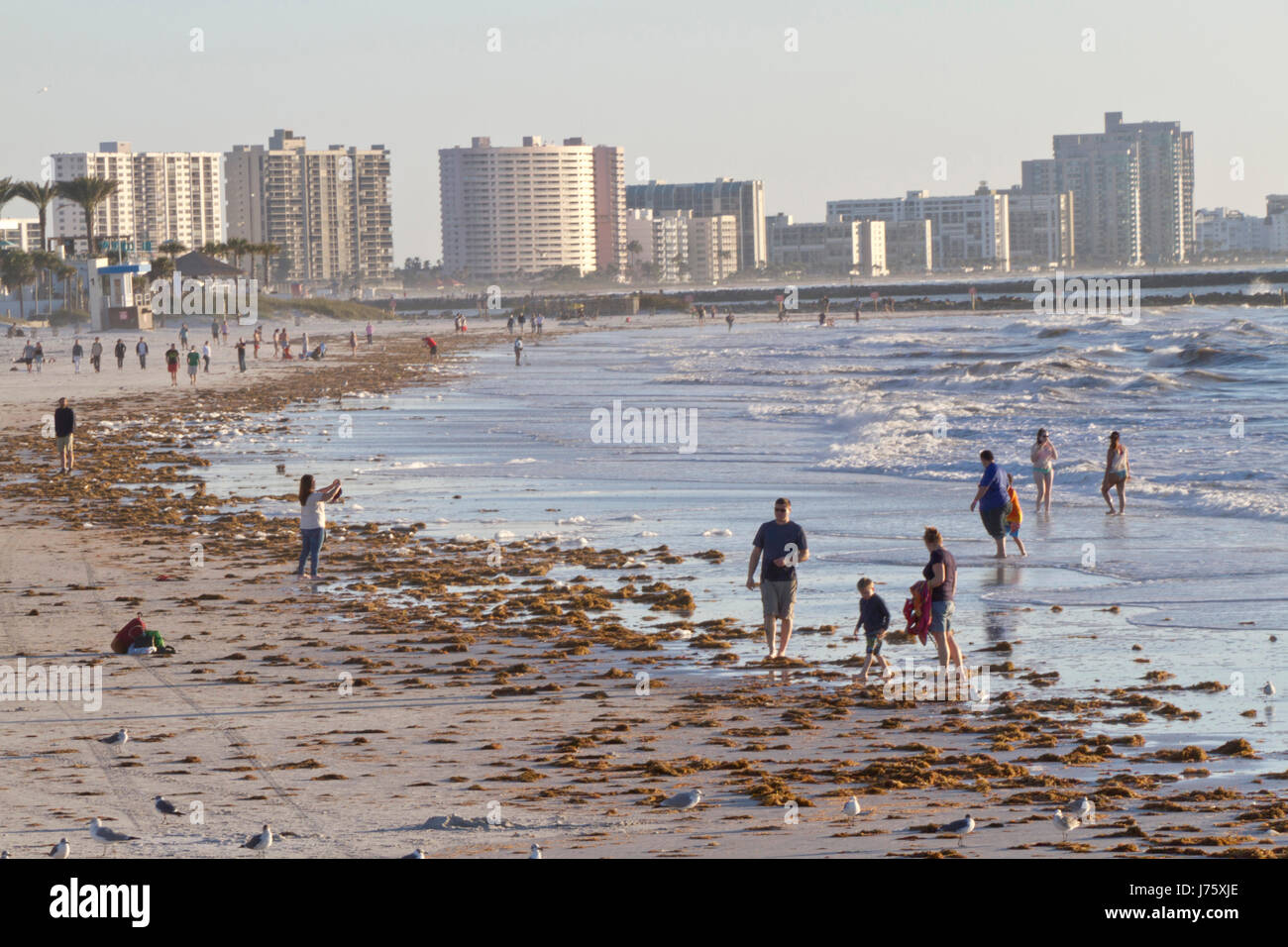 Clearwater, Florida January 24, 2017 Late afternoon at Clearwater