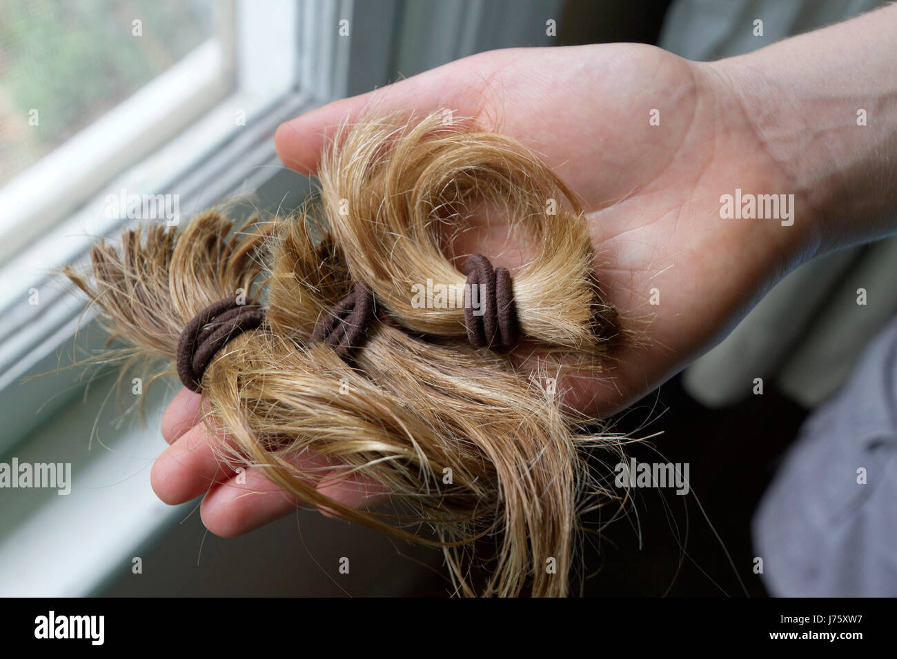 Close up of a hand holding a thick, cut-off blond ponytail in the light of a window consisting of long, beautiful tail of hair held together with hair Stock Photo