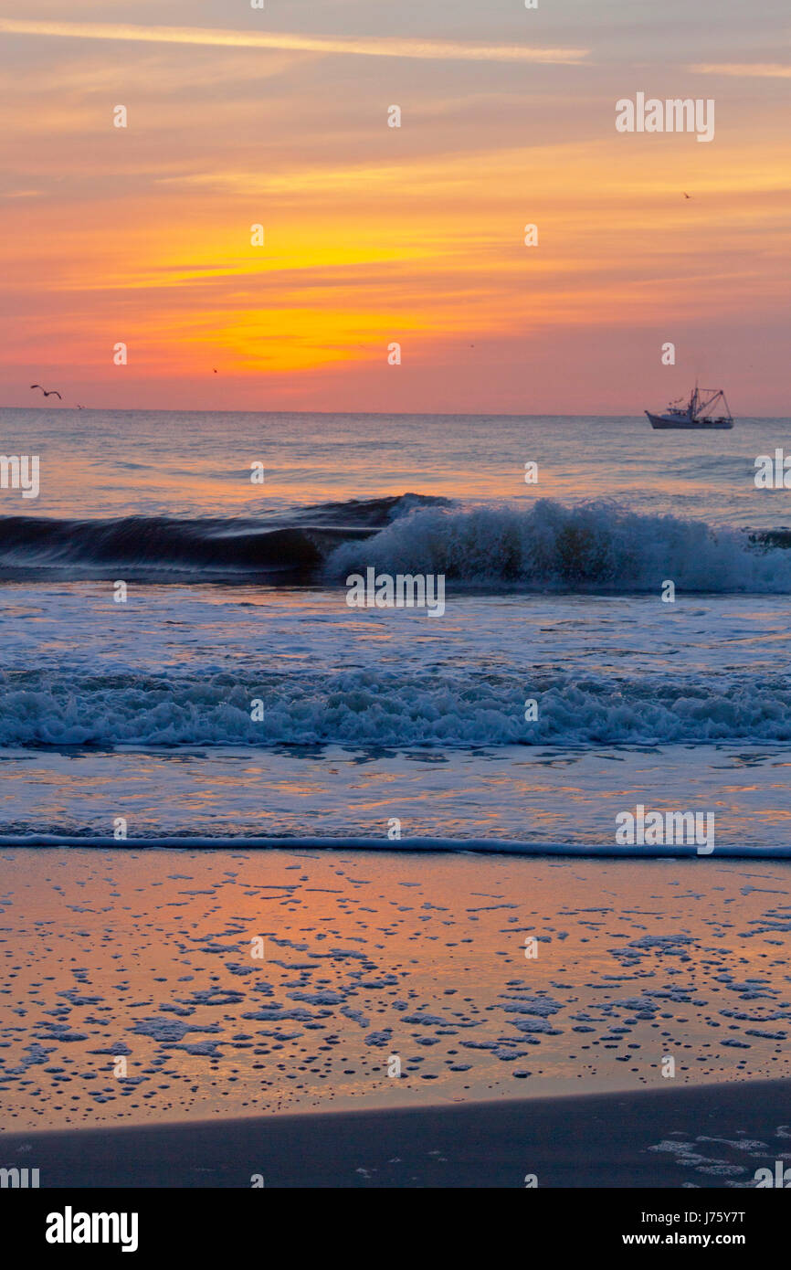 A fishing trawler out to sea trawling for fish as hungry birds circle at sunset Stock Photo