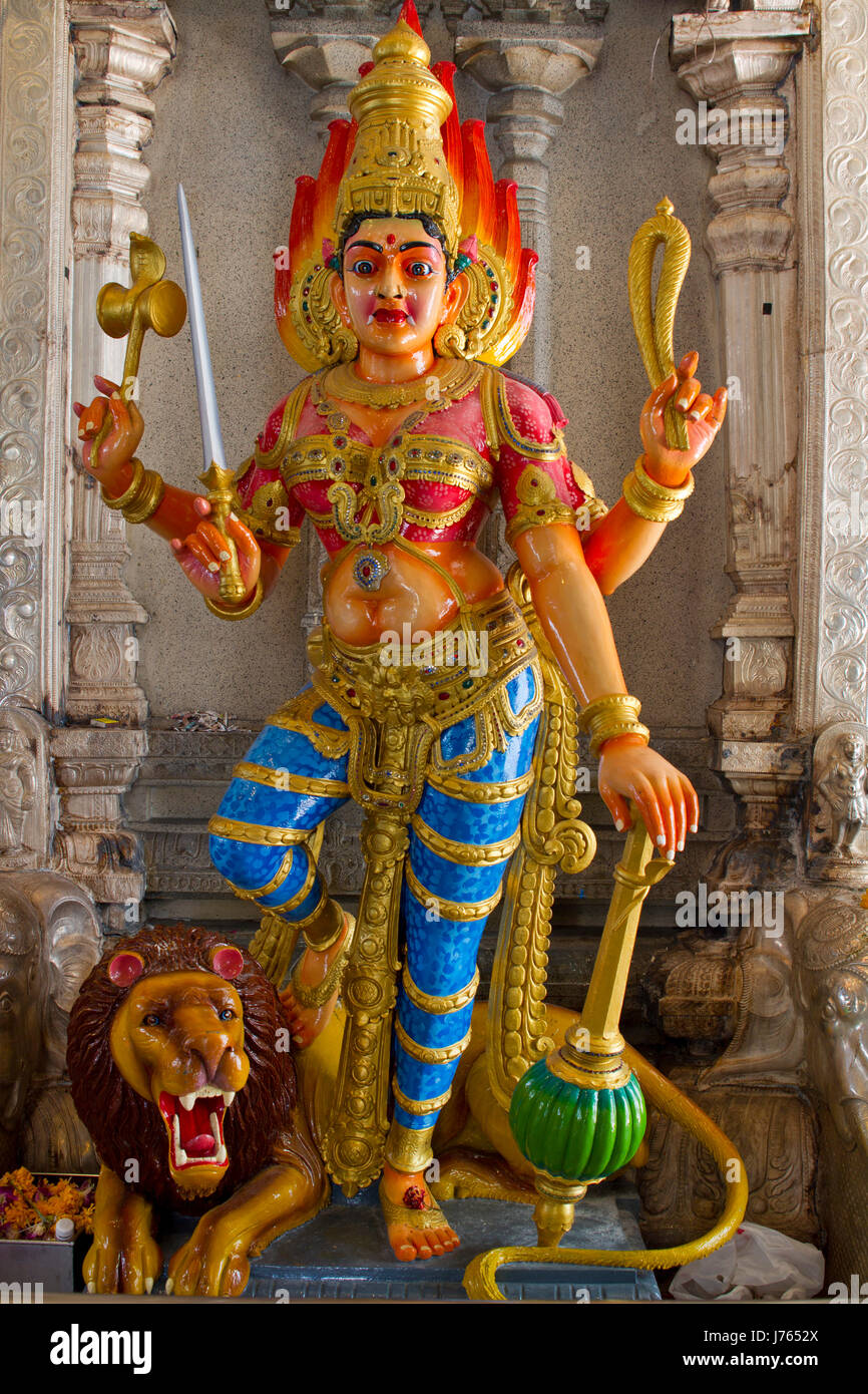 temple god lion cat big cat feline predator deity hindu god lion cat