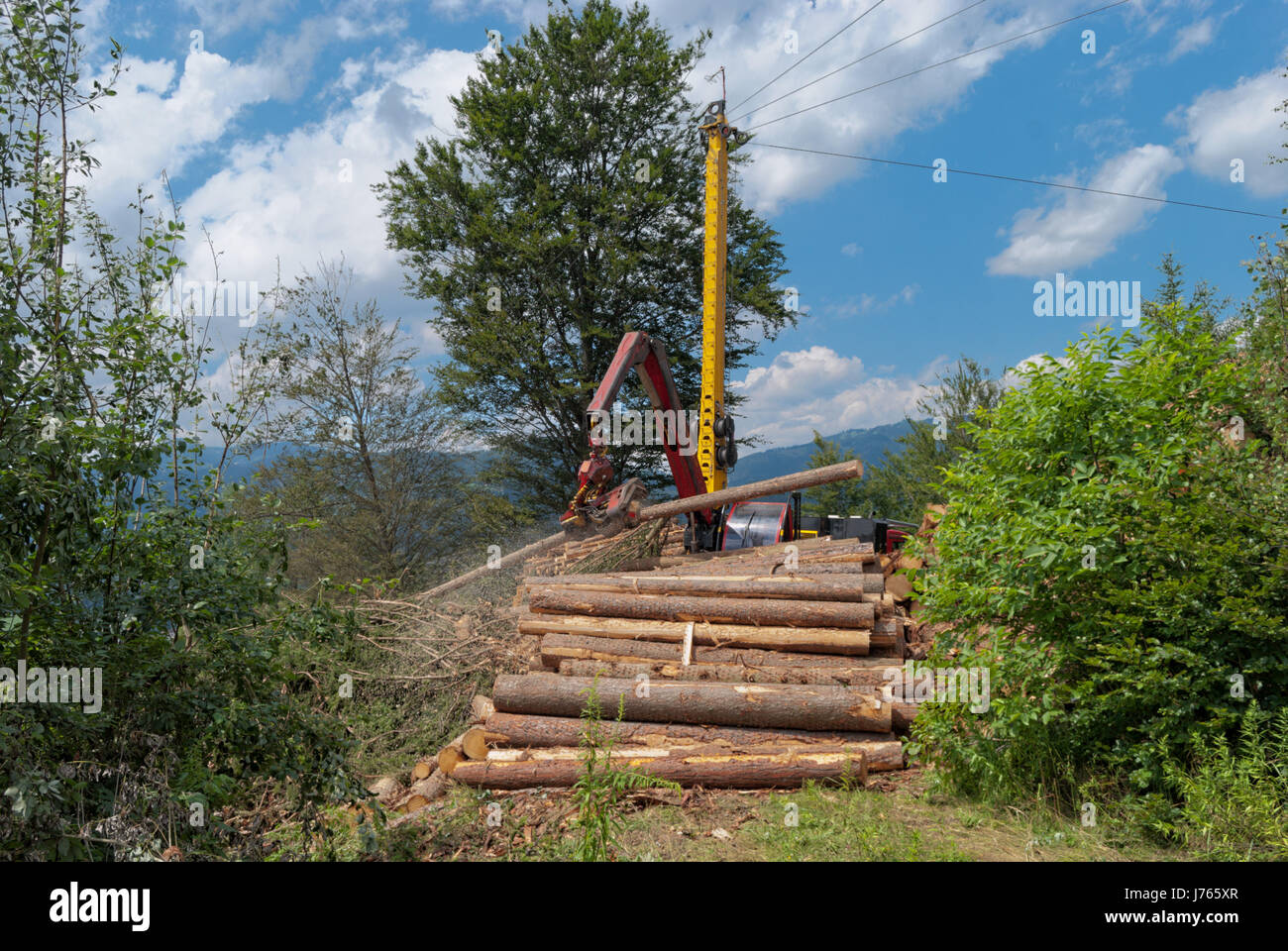 Timber harvesting with a skyline crane and manipulator in a mixed forest in the Styrian foothills of the limestone alps under sunny skies in summer. Stock Photo