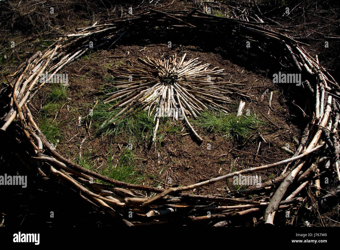 wood circle art wood sticks circle pedagogy art form thick wide fat