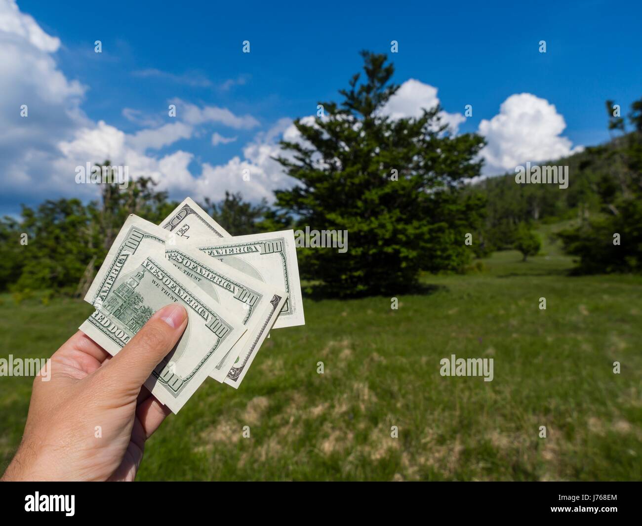 Nature natural environment dollars dollar money dollars in hand country