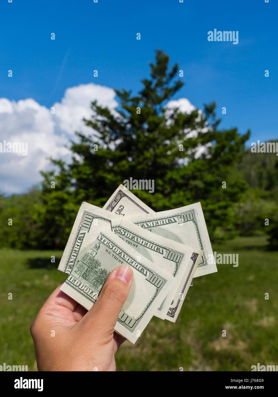 Nature natural environment dollars dollar money dollars in hand country