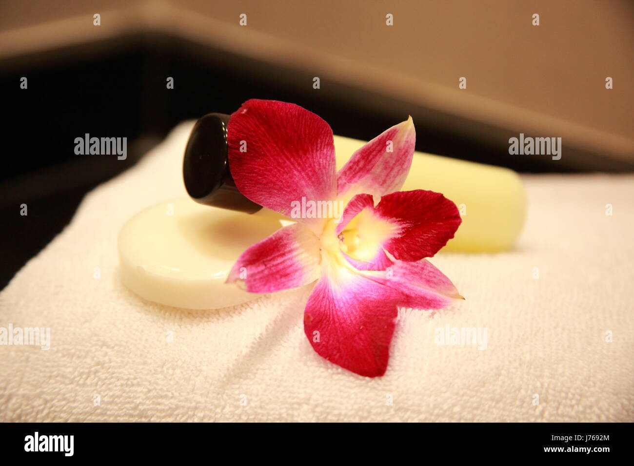 flower plant towel soap cosmetic amenities bathroom spa mineral spring Stock Photo