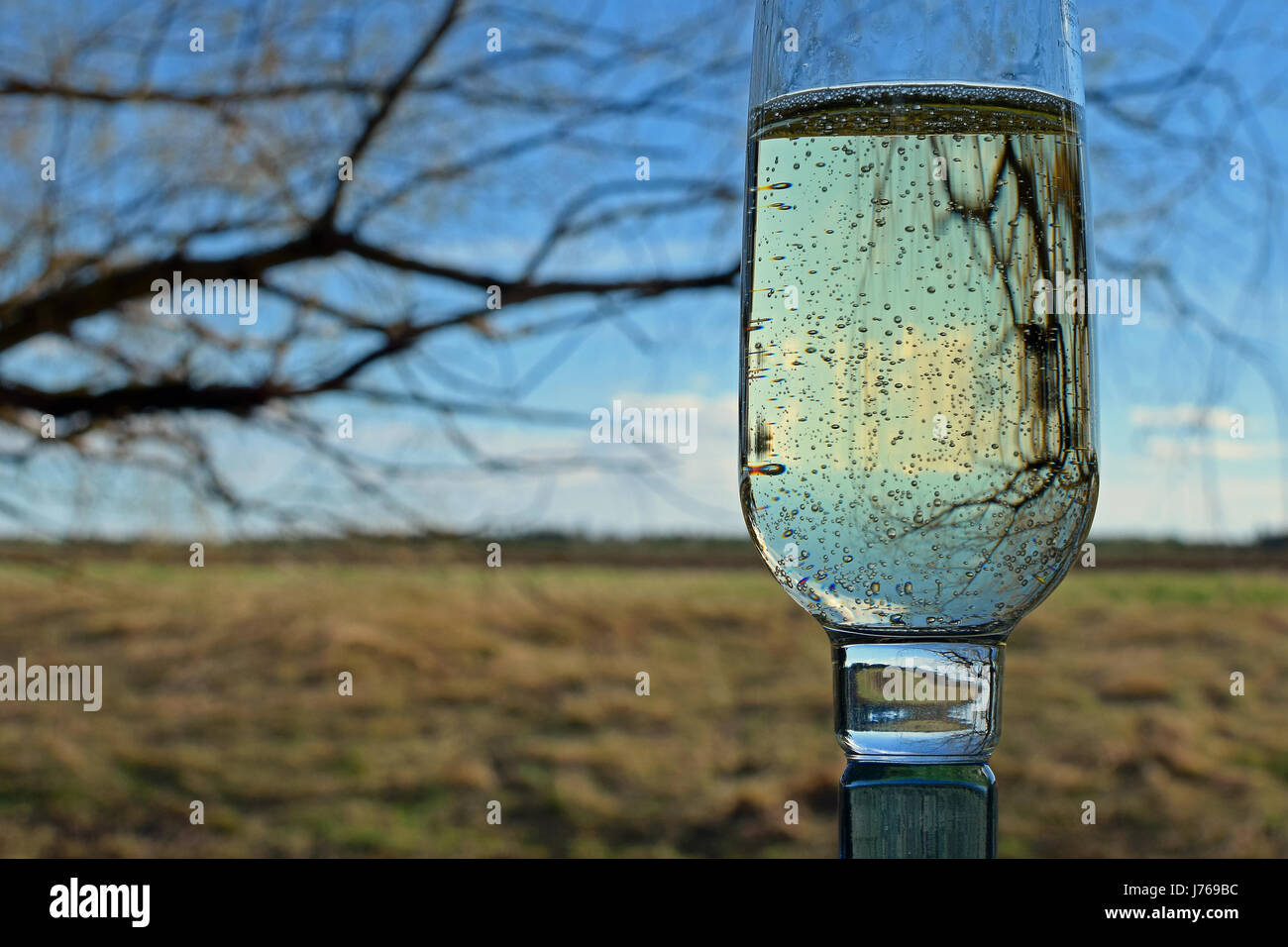 Glass of sparkling wine outdoors. Focus on foreground. Stock Photo