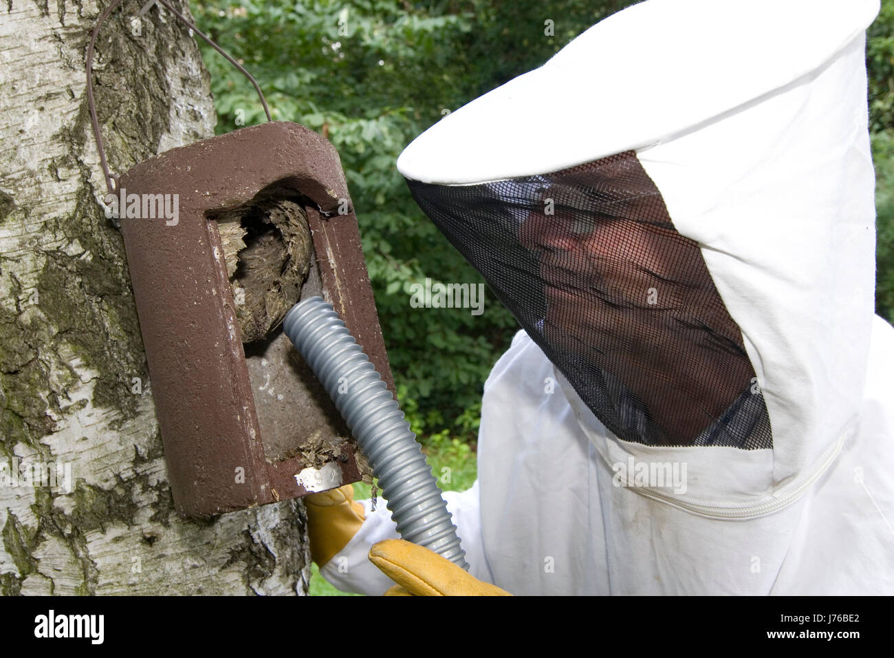 conservation of nature working clothes wasps protective clothing