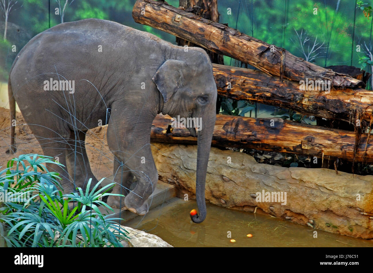 Safaritour hi-res stock photography and images - Alamy