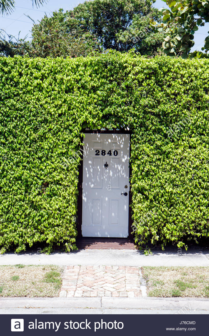 Miami Beach Florida Flamingo Drive Door Hedge Entrance Private