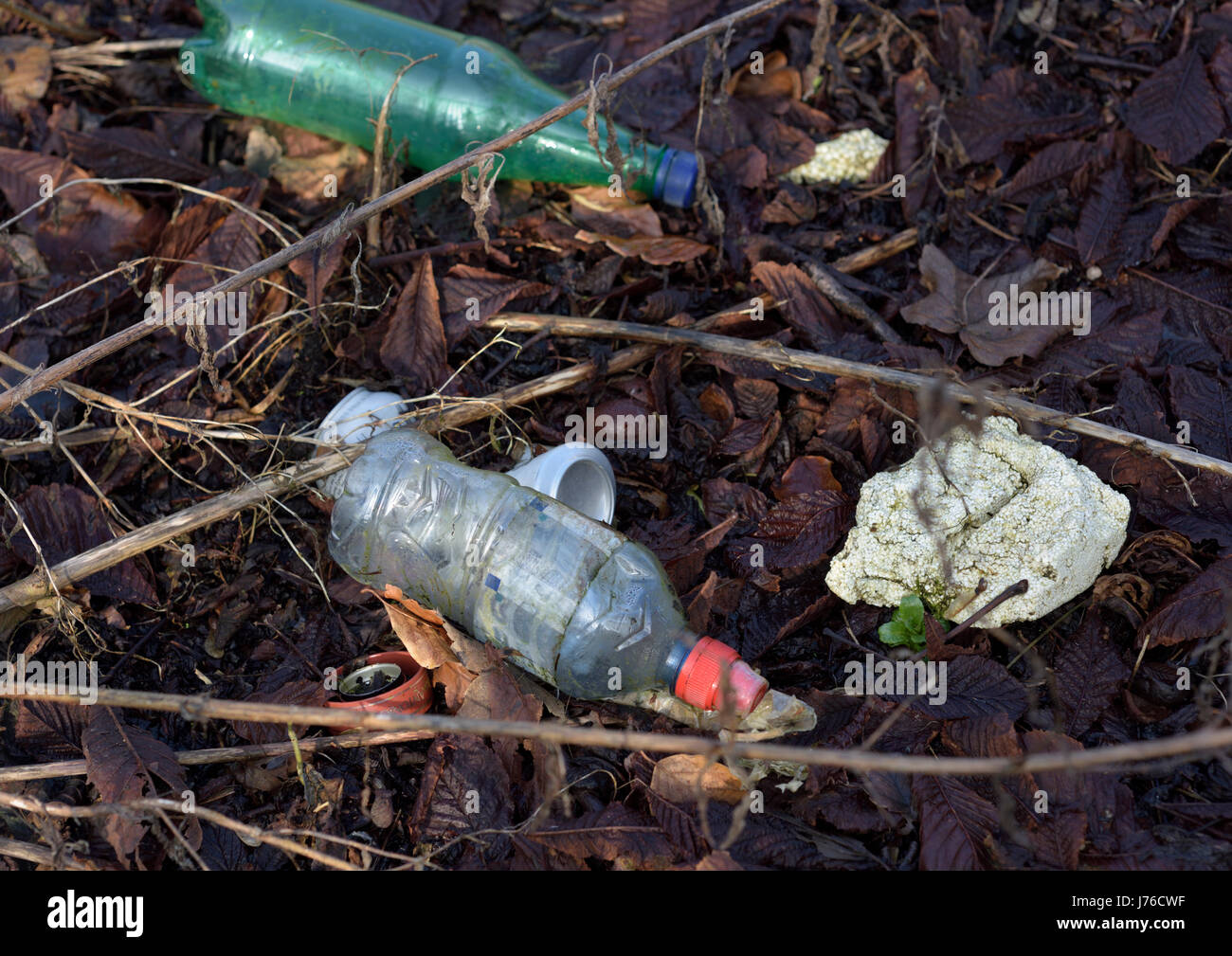 Plastic bottles and rubbish and polystyrene thrown away on rotting
