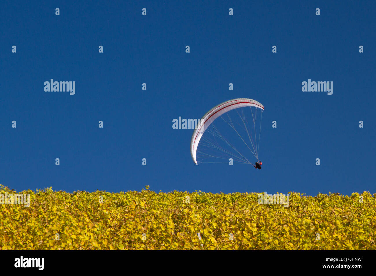 flight aviation kite kites fly flies flys flying paraglider hang-glide blue Stock Photo