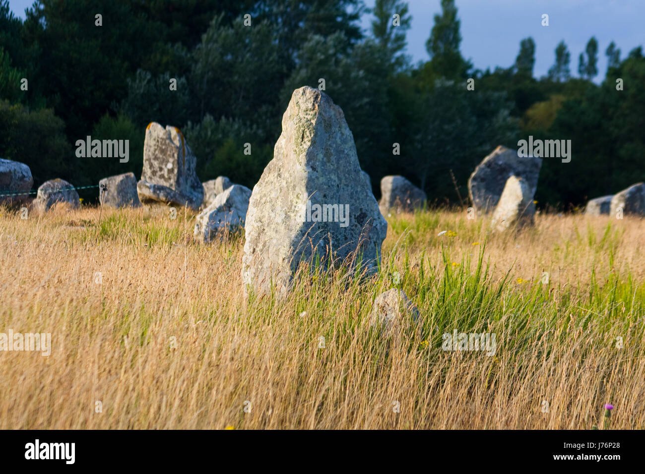 carnac 387 Stock Photo