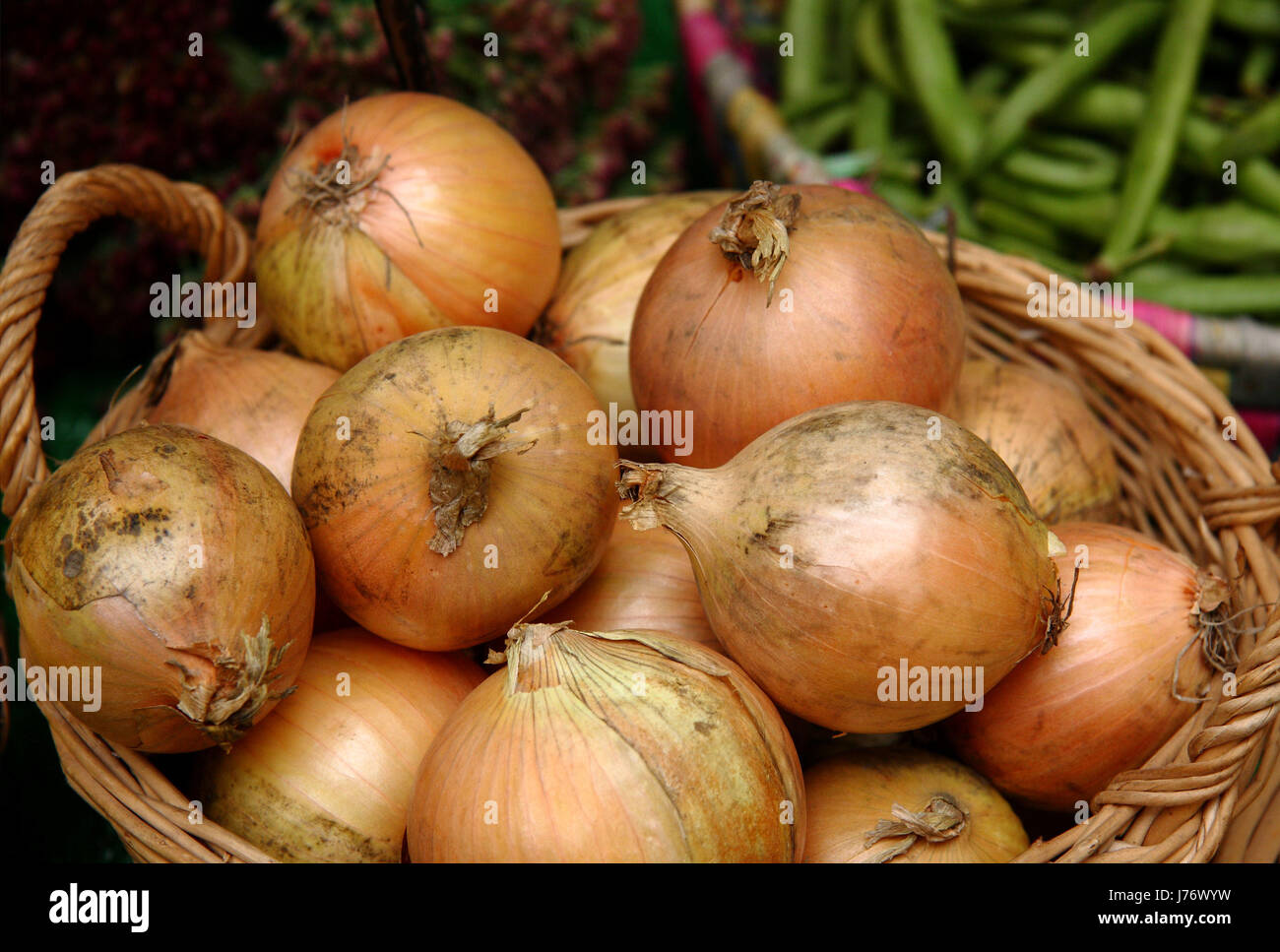 basket beans vegetable plaited braided onions herbs autumnal basket beans Stock Photo