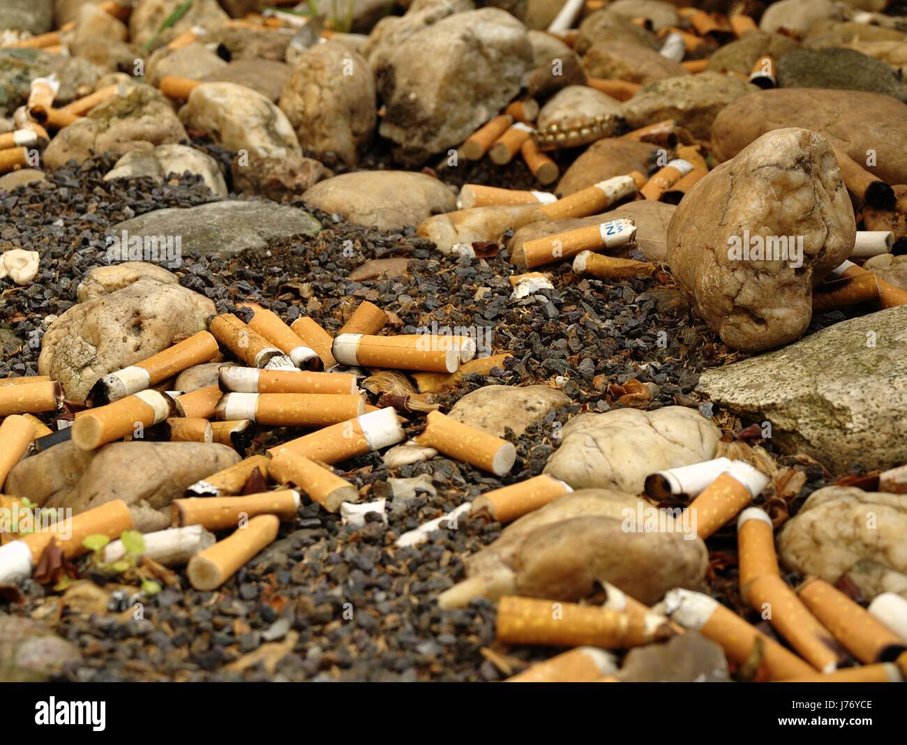 cigarette tobacco cigarettes butt stub danger health macro close-up ...