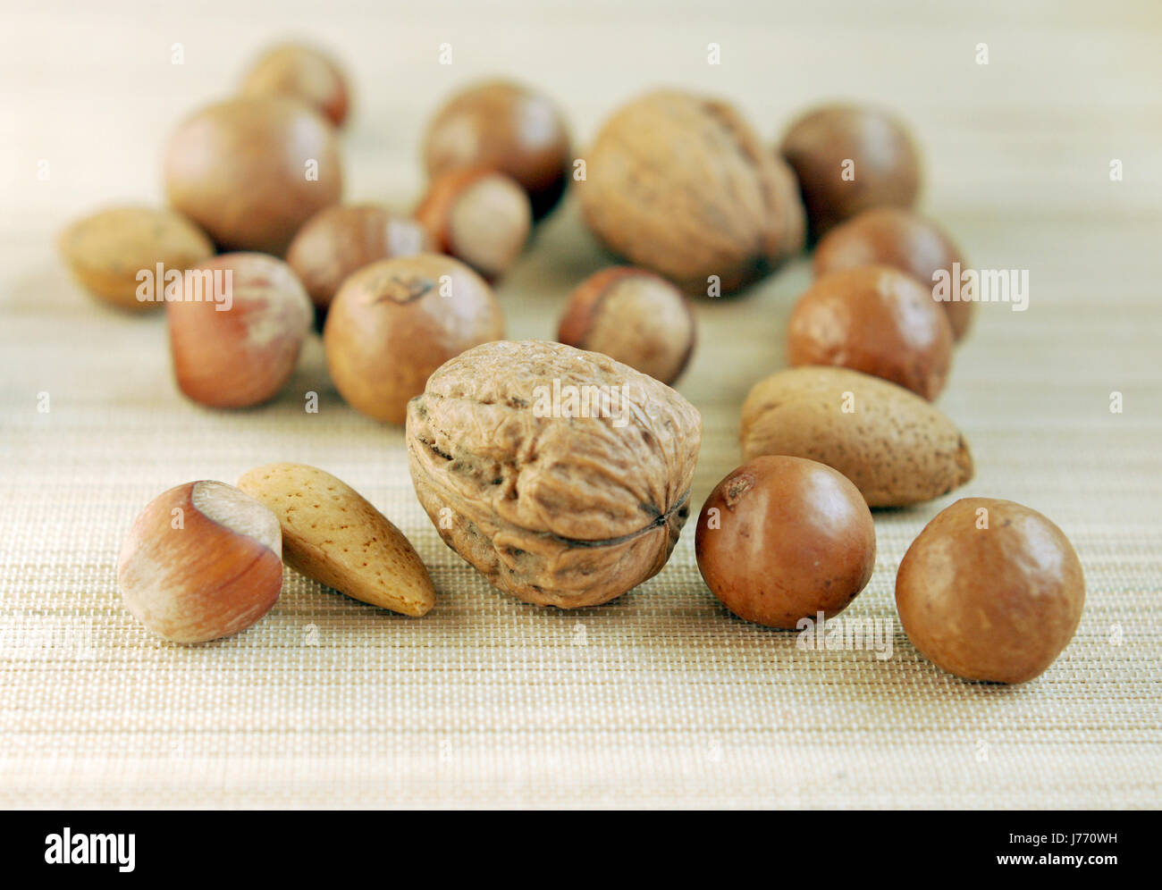 nut walnut filbert hazelnut kernel almonds tonsils food aliment variety ...