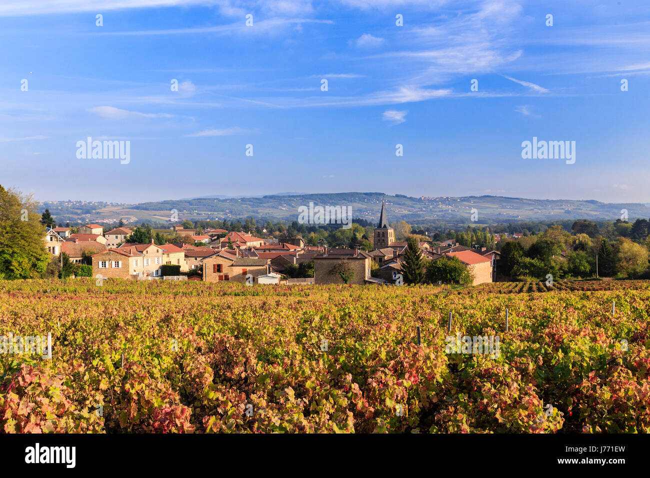 France, Rhone, Beaujolais region, Frontenas, the village and the vineyards in autumn Stock Photo