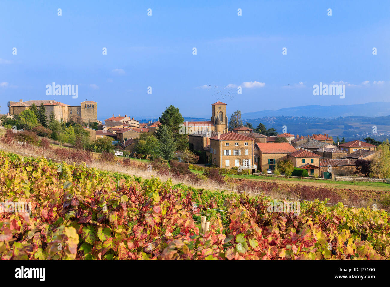France, Rhone, Beaujolais region, Theize, the village and the vineyards in autumn Stock Photo
