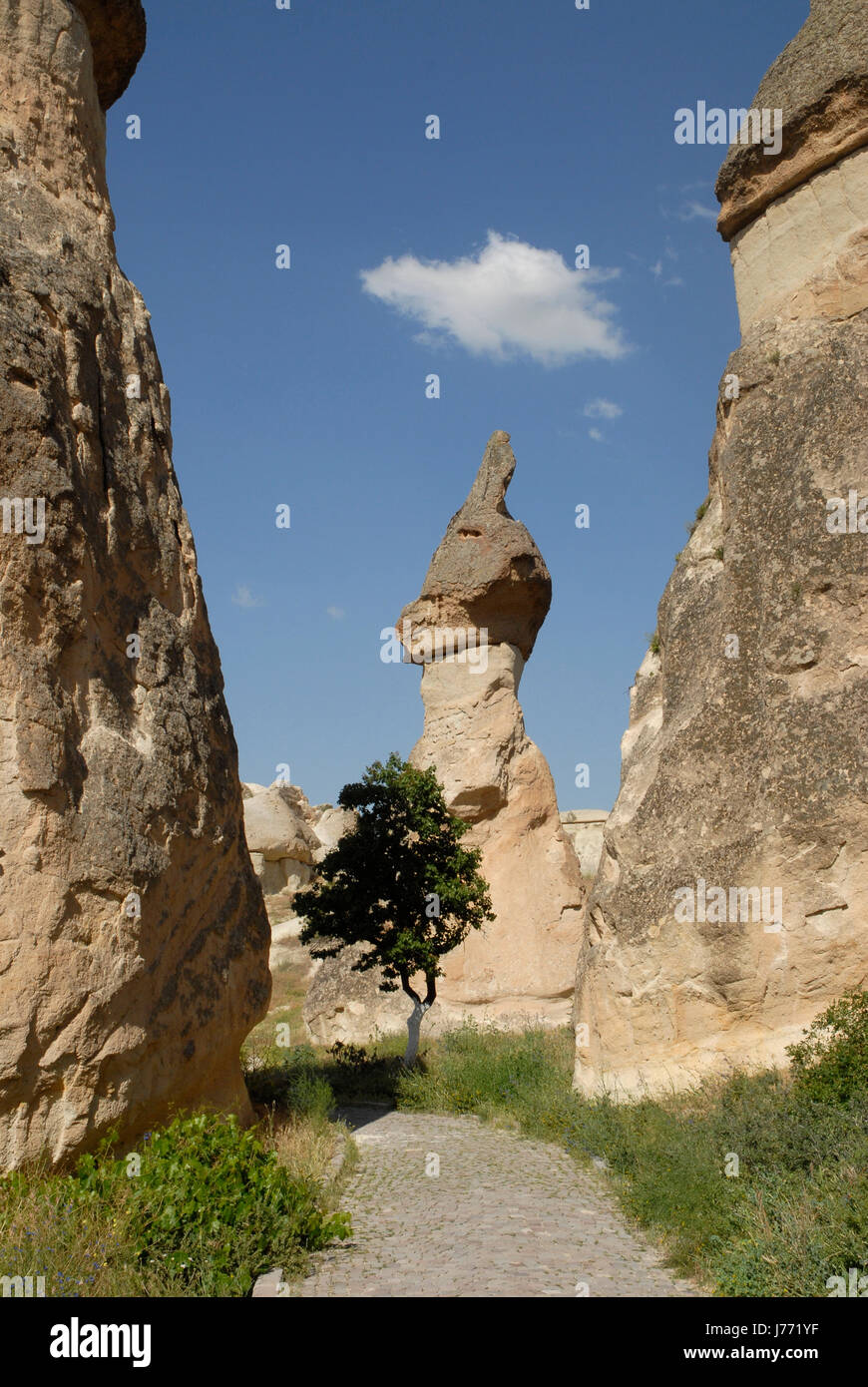 fairy chimneys in pasabag in avanos Stock Photo - Alamy