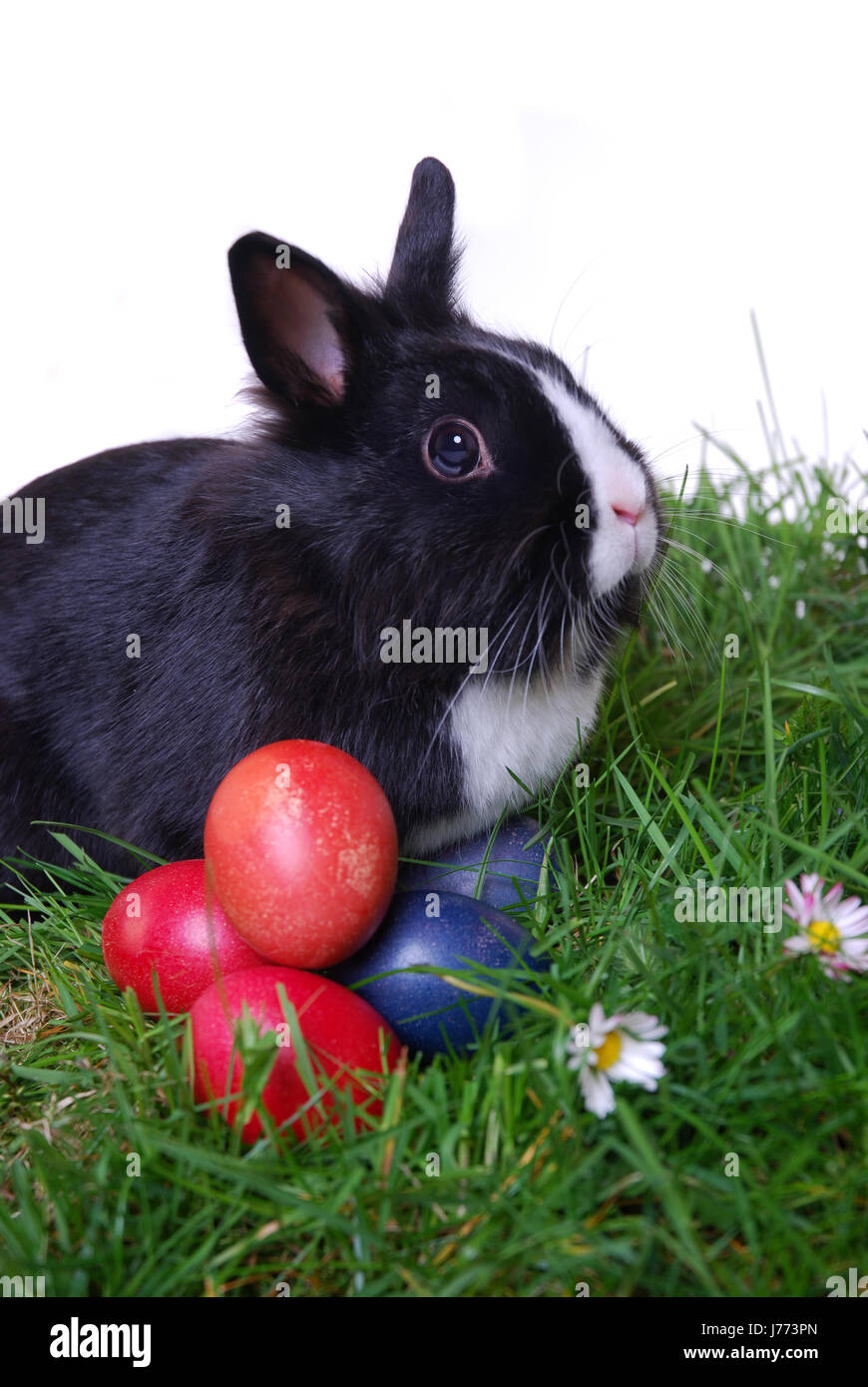 easter Stock Photo