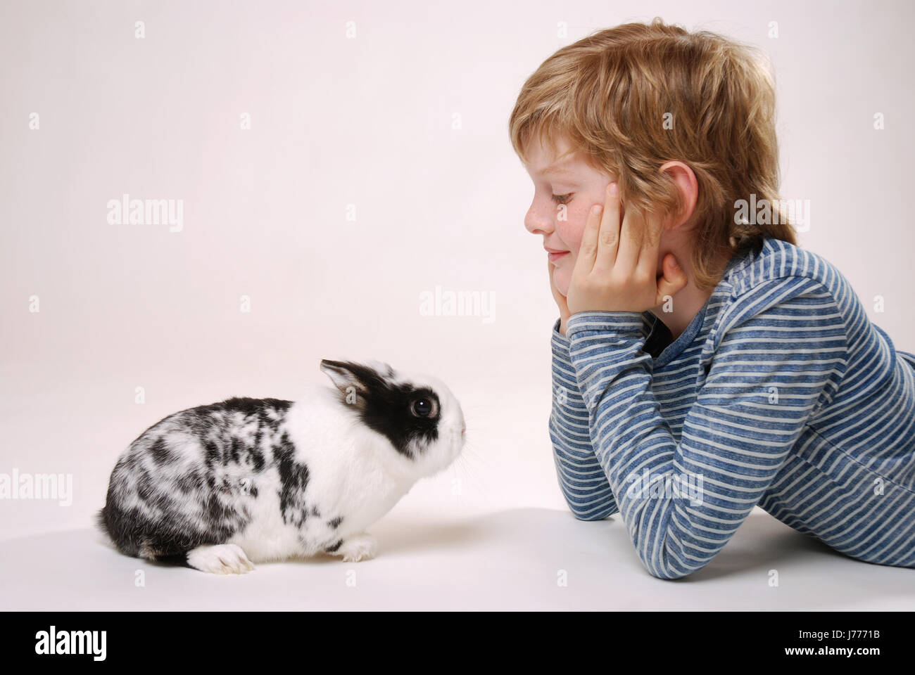 boy with rabbit Stock Photo