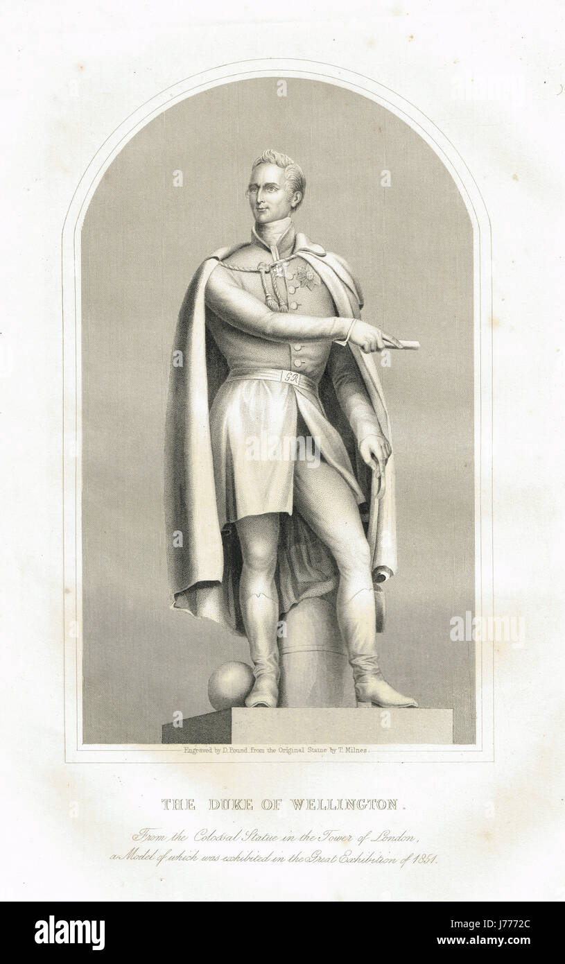 Colossal statue of Duke of Wellington Stock Photo