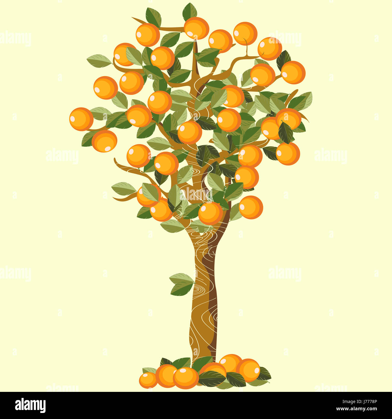 Orange fruit sketch hires stock photography and images  Alamy