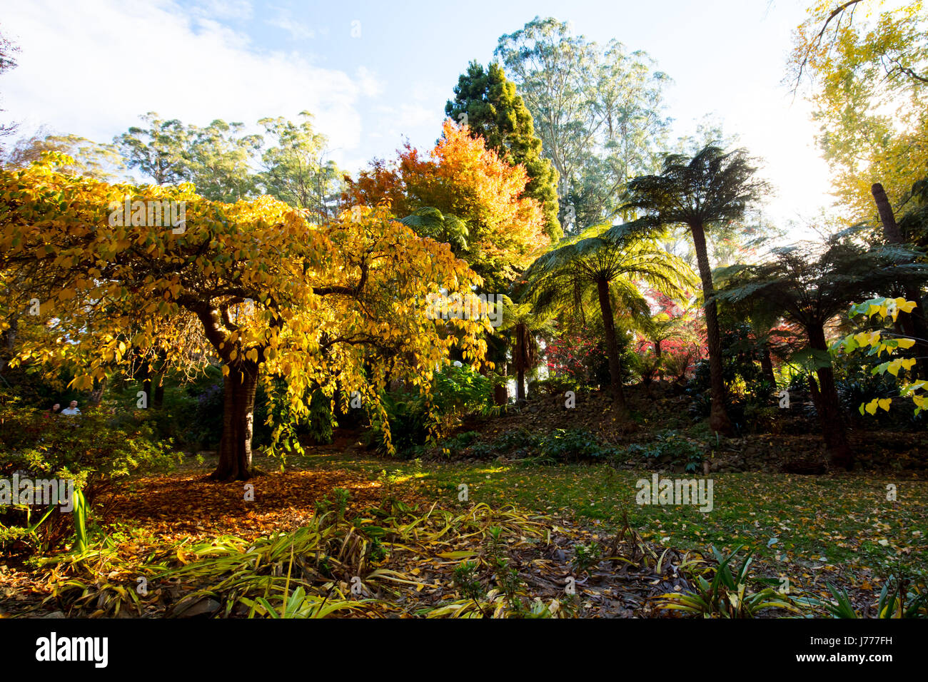 Alfred Nicholas Memorial Gardens Stock Photo Alamy