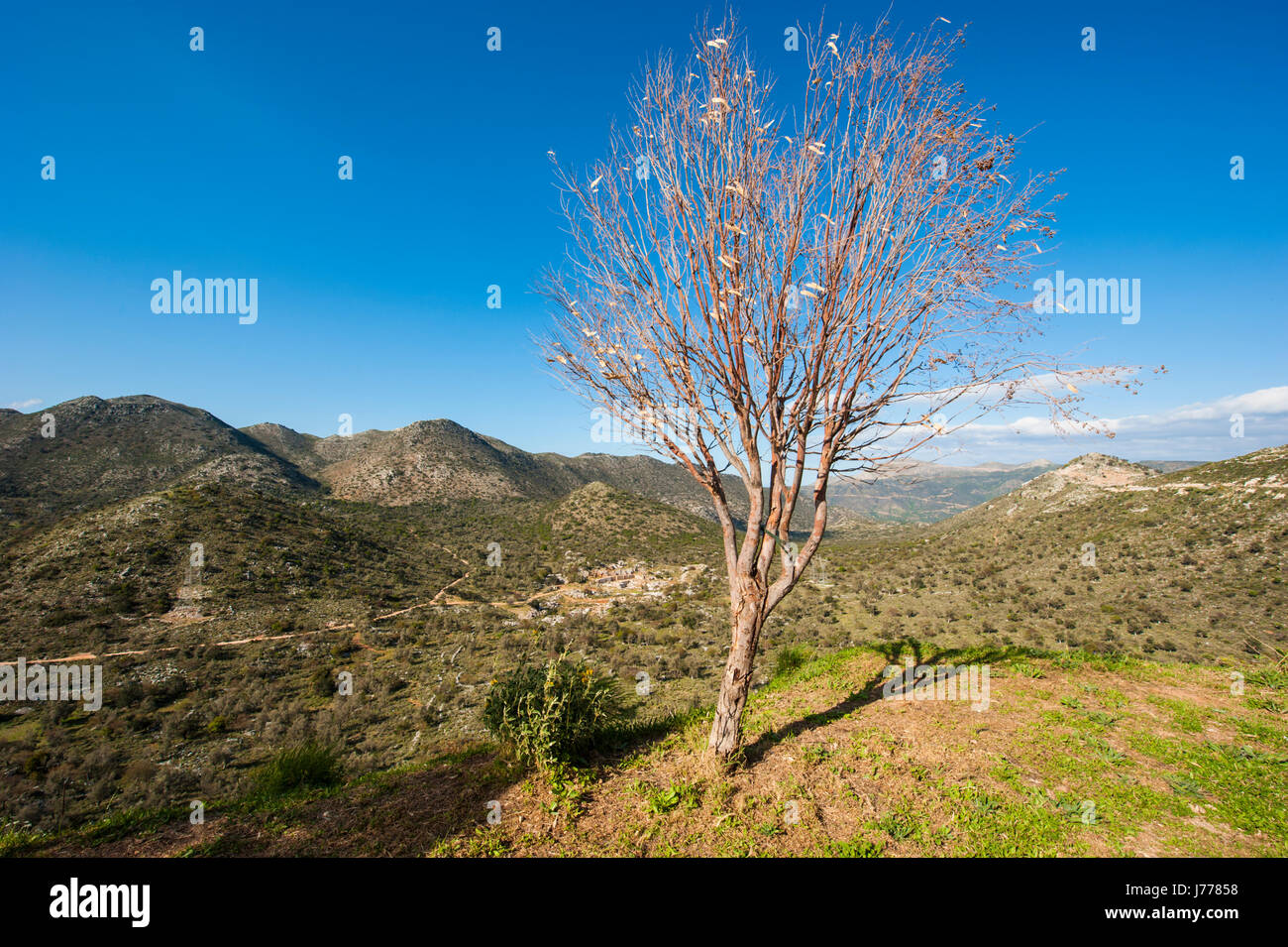 A view of mountainous landscape in norther part of Crete, Greece. Stock Photo
